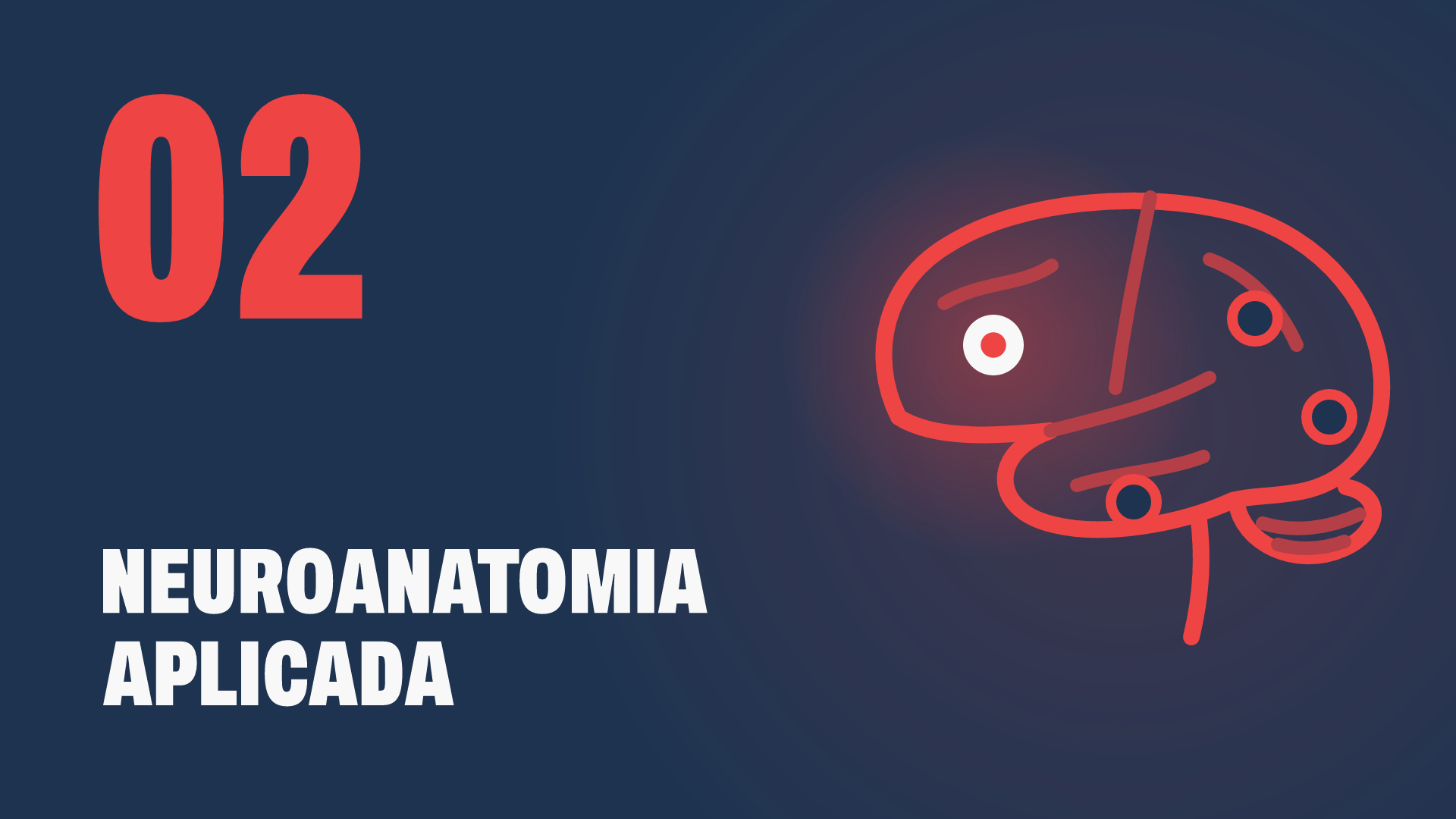 Capa do Módulo 2: Neuroanatomia Aplicada